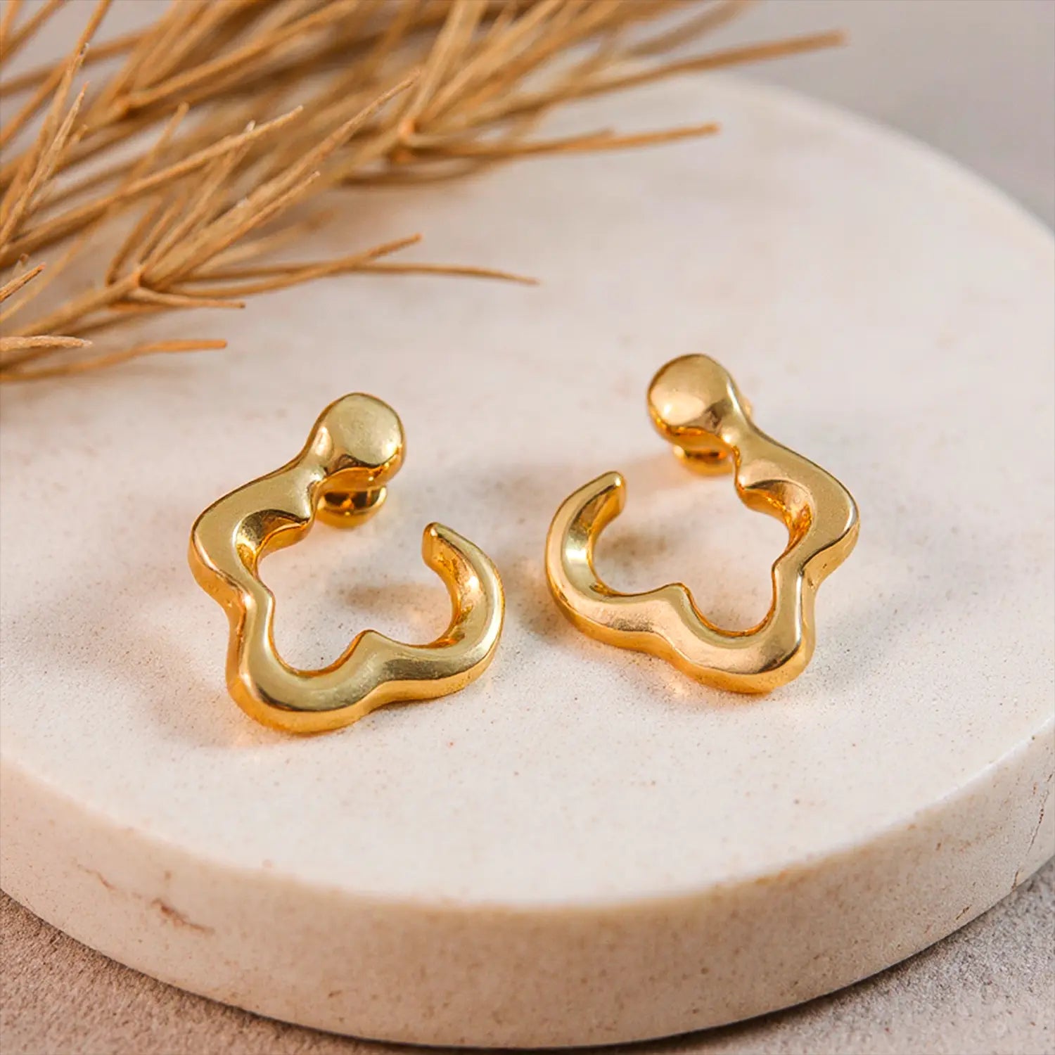 Brinco Liso Orgânico Argola