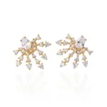 Brinco Crystal Rain