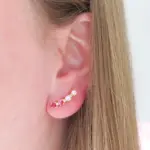 Brinco Zircônia Rosa - Imagem 2